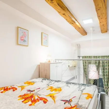 Apartmán Apartma N'poznam Tobacna *